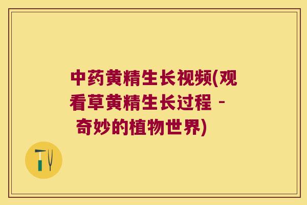 黄精生长视频(观看草黄精生长过程 - 奇妙的植物世界)