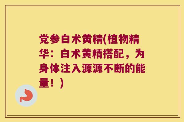 党参白术黄精(植物精华：白术黄精搭配，为身体注入源源不断的能量！)