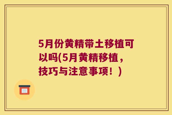 5月份黄精带土移植可以吗(5月黄精移植，技巧与注意事项！)