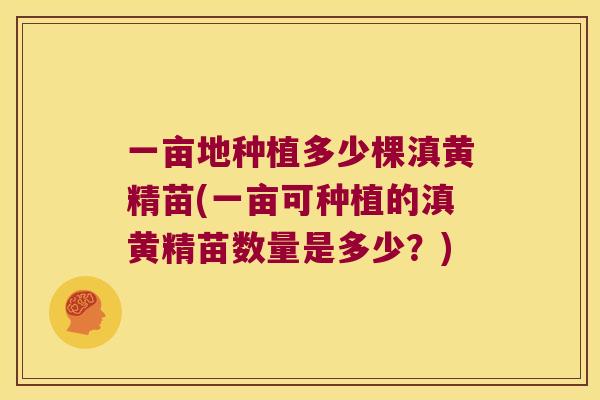 一亩地种植多少棵滇黄精苗(一亩可种植的滇黄精苗数量是多少？)
