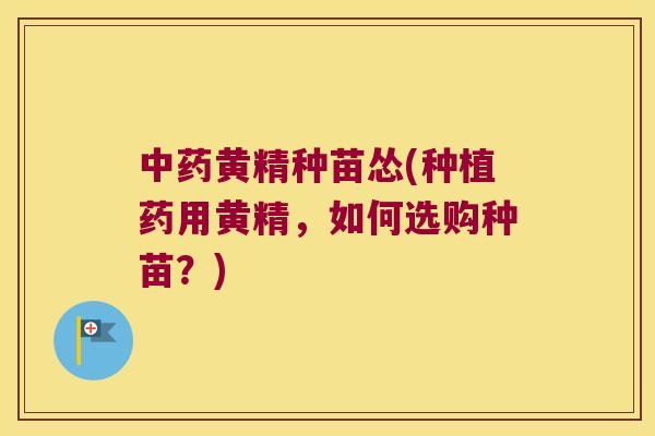 黄精种苗怂(种植药用黄精,如何选购种苗?) 黄精种苗怂(种植药用黄精,如何选购种苗?)