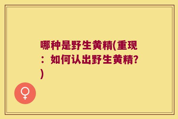 哪种是野生黄精(重现:如何认出野生黄精?) 哪种是野生黄精(重现:如何认出野生黄精?)