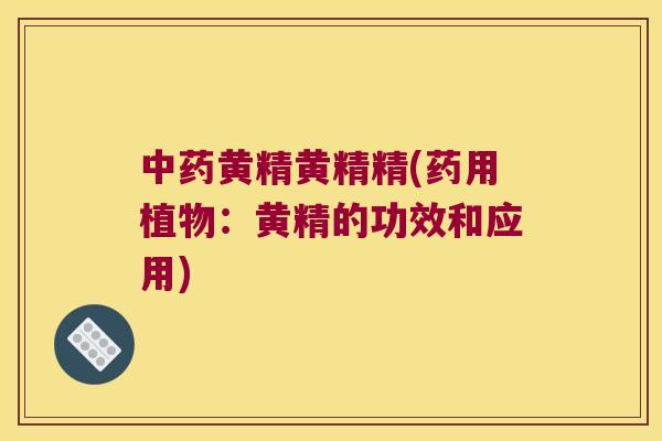 黄精黄精精(药用植物:黄精的功效和应用) 黄精黄精精(药用植物:黄精的功效和应用)