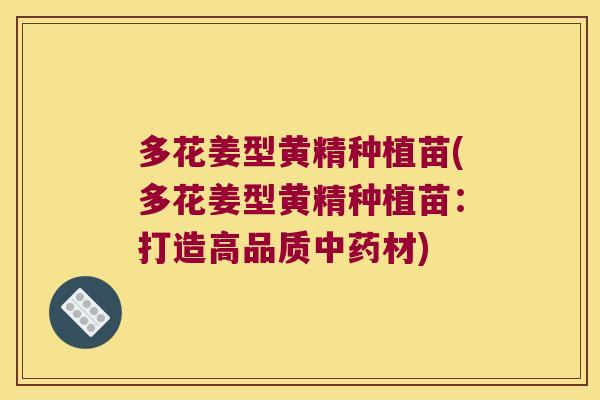 多花姜型黄精种植苗(多花姜型黄精种植苗:打造高品质材) 多花姜型黄精种植苗(多花姜型黄精种植苗:打造高品质材)