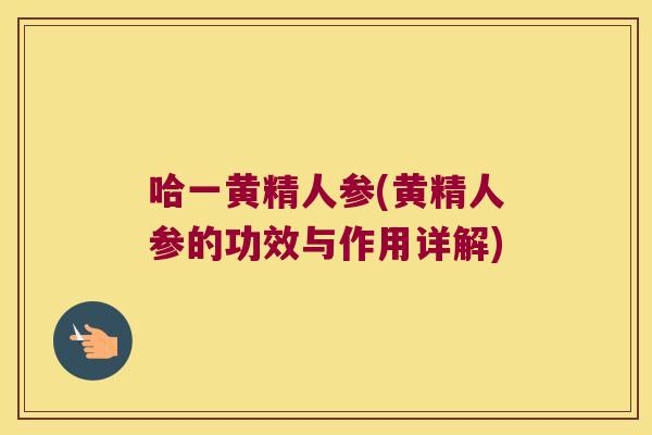 哈一黄精人参(黄精人参的功效与作用详解) 哈一黄精人参(黄精人参的功效与作用详解)