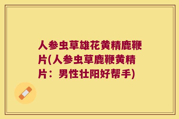 人参虫草雄花黄精鹿鞭片(人参虫草鹿鞭黄精片：男性壮阳好帮手)