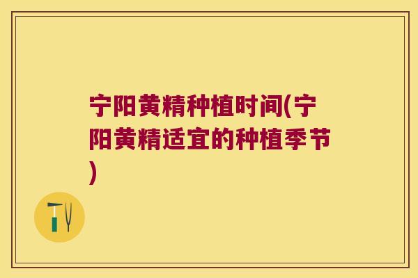 宁阳黄精种植时间(宁阳黄精适宜的种植季节)
