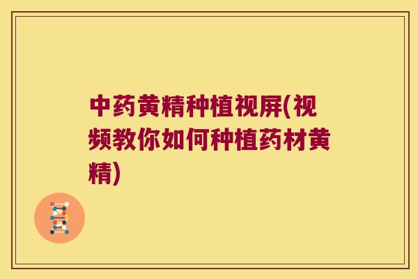 黄精种植视屏(视频教你如何种植药材黄精)