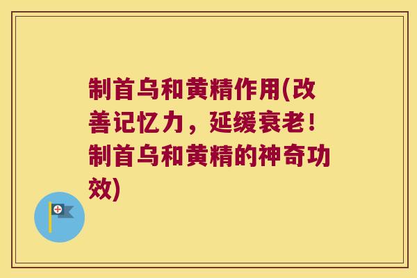 制首乌和黄精作用(改善记忆力，延缓！制首乌和黄精的神奇功效)