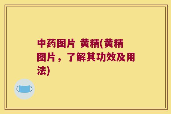 图片 黄精(黄精图片,了解其功效及用法) 图片 黄精(黄精图片,了解其功效及用法)