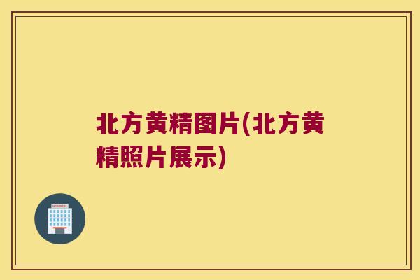 北方黄精图片(北方黄精照片展示)