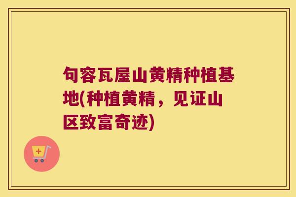 句容瓦屋山黄精种植基地(种植黄精，见证山区致富奇迹)