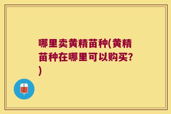哪里卖黄精苗种(黄精苗种在哪里可以购买？)