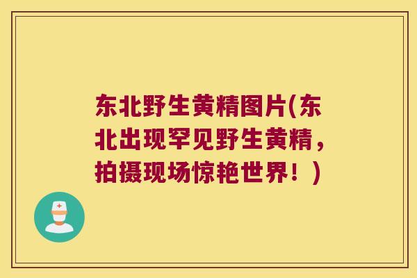东北野生黄精图片(东北出现罕见野生黄精，拍摄现场惊艳世界！)