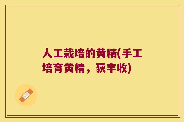 人工栽培的黄精(手工培育黄精，获丰收)