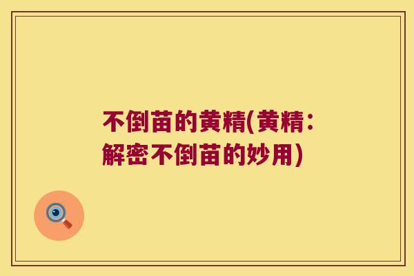 不倒苗的黄精(黄精:解密不倒苗的妙用) 不倒苗的黄精(黄精:解密不倒苗的妙用)