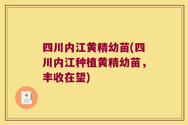 四川内江黄精幼苗(四川内江种植黄精幼苗,丰收在望) 四川内江黄精幼苗(四川内江种植黄精幼苗,丰收在望)