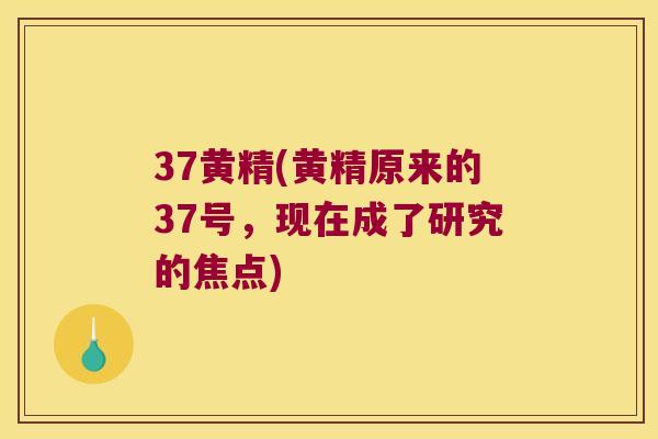 37黄精(黄精原来的37号，现在成了研究的焦点)