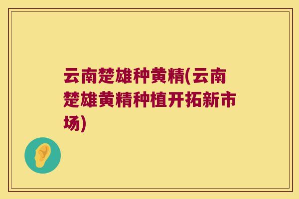 云南楚雄种黄精(云南楚雄黄精种植开拓新市场) 云南楚雄种黄精(云南楚雄黄精种植开拓新市场)