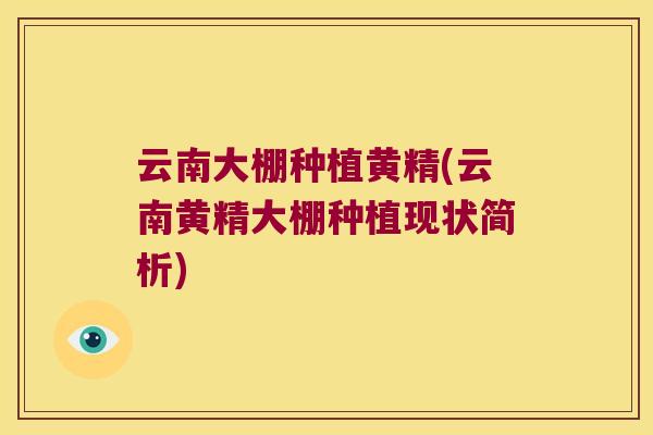 云南大棚种植黄精(云南黄精大棚种植现状简析)