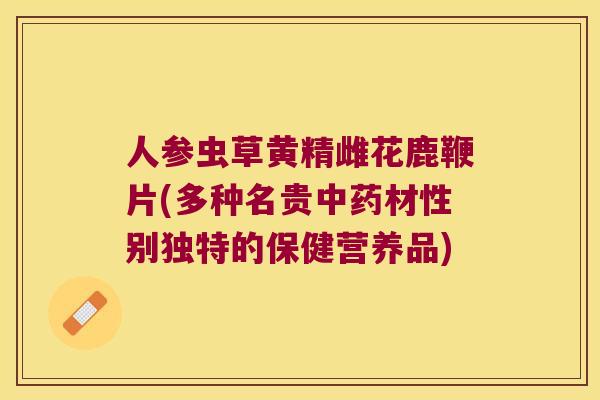 人参虫草黄精雌花鹿鞭片(多种名贵材性别独特的保健营养品)