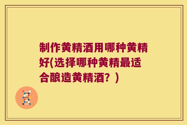 制作黄精酒用哪种黄精好(选择哪种黄精适合酿造黄精酒？)