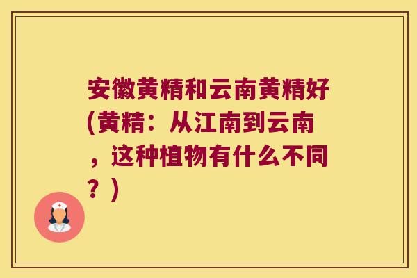 安徽黄精和云南黄精好(黄精：从江南到云南，这种植物有什么不同？)