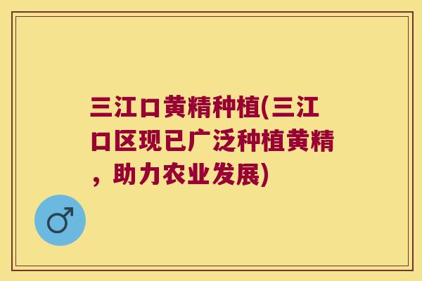 三江口黄精种植(三江口区现已广泛种植黄精,助力农业发展) 三江口黄精种植(三江口区现已广泛种植黄精,助力农业发展)