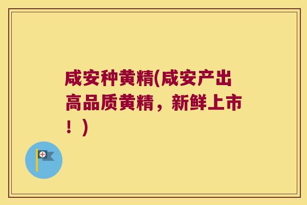 咸安种黄精(咸安产出高品质黄精,新鲜上市!) 咸安种黄精(咸安产出高品质黄精,新鲜上市!)