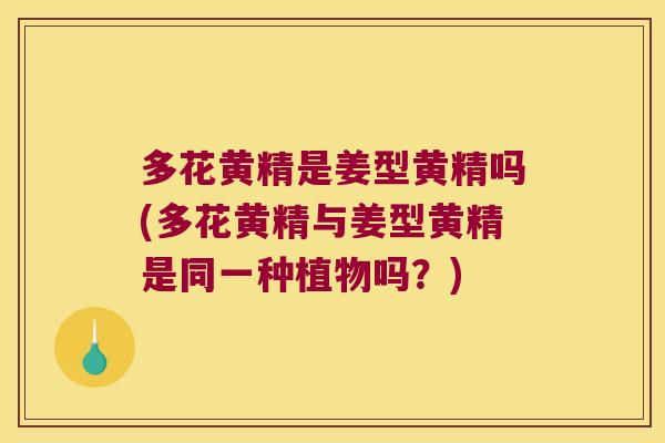 多花黄精是姜型黄精吗(多花黄精与姜型黄精是同一种植物吗？)