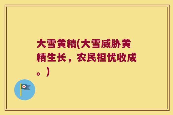 大雪黄精(大雪威胁黄精生长,农民担忧收成。) 大雪黄精(大雪威胁黄精生长,农民担忧收成。)