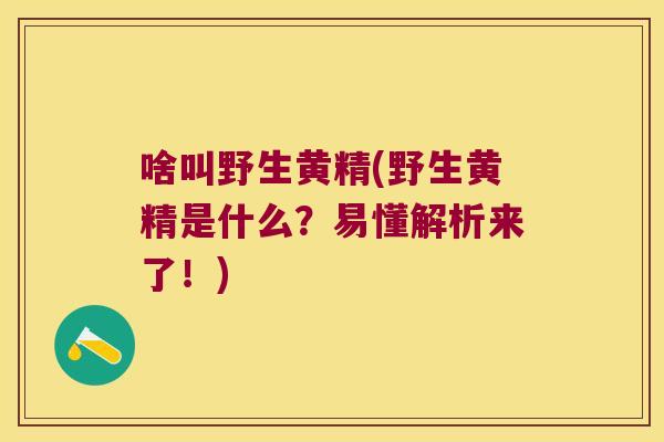 啥叫野生黄精(野生黄精是什么?易懂解析来了!) 啥叫野生黄精(野生黄精是什么?易懂解析来了!)