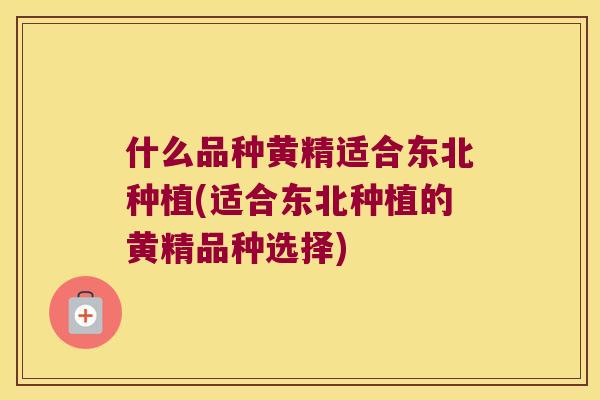 什么品种黄精适合东北种植(适合东北种植的黄精品种选择) 什么品种黄精适合东北种植(适合东北种植的黄精品种选择)