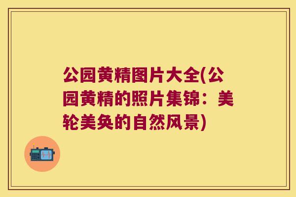 公园黄精图片大全(公园黄精的照片集锦：美轮美奂的自然风景)