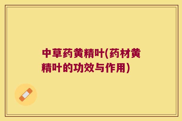 中草药黄精叶(药材黄精叶的功效与作用) 中草药黄精叶(药材黄精叶的功效与作用)