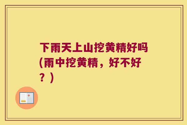 下雨天上山挖黄精好吗(雨中挖黄精，好不好？)