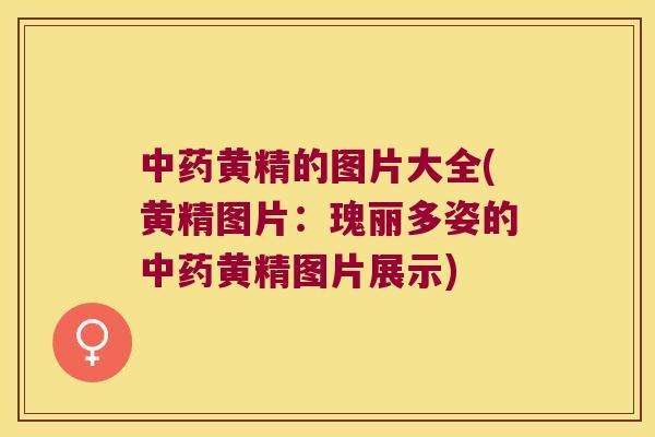 黄精的图片大全(黄精图片:瑰丽多姿的黄精图片展示) 黄精的图片大全(黄精图片:瑰丽多姿的黄精图片展示)