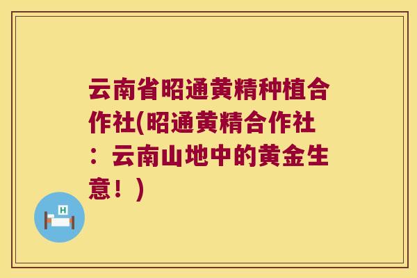 云南省昭通黄精种植合作社(昭通黄精合作社:云南山地中的黄金生意!) 云南省昭通黄精种植合作社(昭通黄精合作社:云南山地中的黄金生意!)