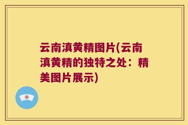 云南滇黄精图片(云南滇黄精的独特之处:精美图片展示) 云南滇黄精图片(云南滇黄精的独特之处:精美图片展示)