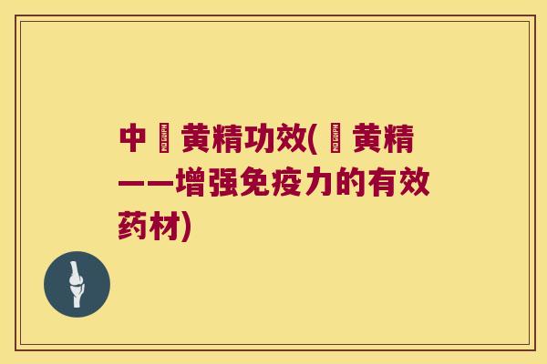 中葯黄精功效(葯黄精——增强力的有效药材) 中葯黄精功效(葯黄精——增强力的有效药材)