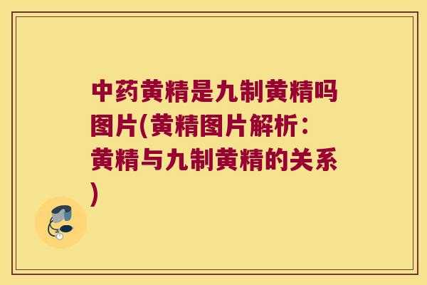 黄精是九制黄精吗图片(黄精图片解析：黄精与九制黄精的关系)