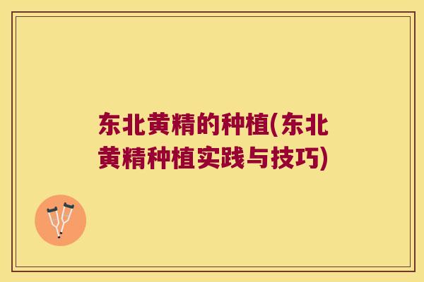 东北黄精的种植(东北黄精种植实践与技巧)