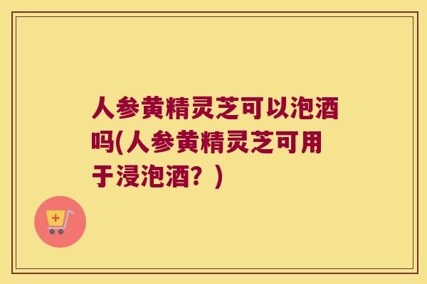 人参黄精灵芝可以泡酒吗(人参黄精灵芝可用于浸泡酒？)