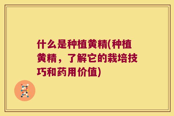 什么是种植黄精(种植黄精,了解它的栽培技巧和药用价值) 什么是种植黄精(种植黄精,了解它的栽培技巧和药用价值)