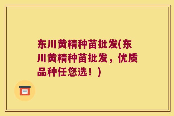 东川黄精种苗批发(东川黄精种苗批发,优质品种任您选!) 东川黄精种苗批发(东川黄精种苗批发,优质品种任您选!)