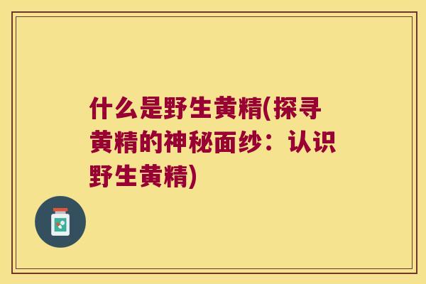 什么是野生黄精(探寻黄精的神秘面纱：认识野生黄精)