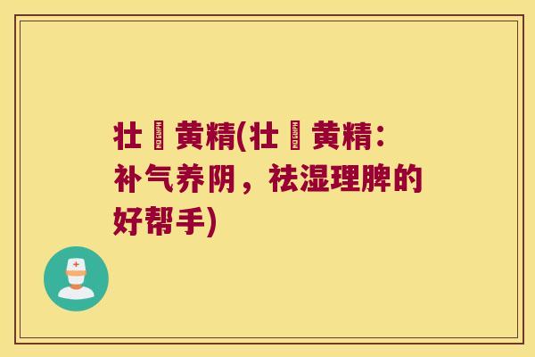 壮牤黄精(壮牤黄精:养阴,祛湿理脾的好帮手) 壮牤黄精(壮牤黄精:养阴,祛湿理脾的好帮手)