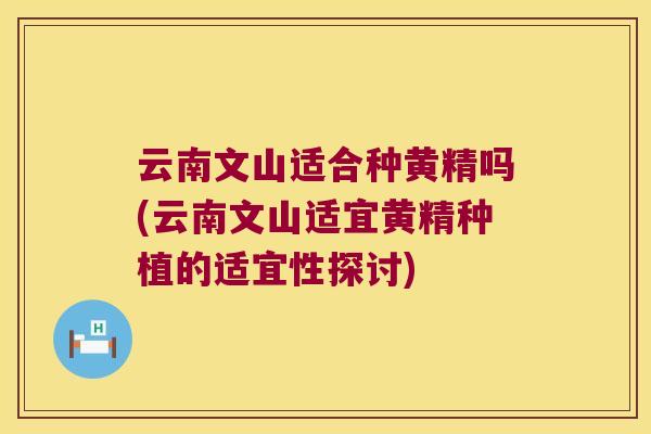 云南文山适合种黄精吗(云南文山适宜黄精种植的适宜性探讨) 云南文山适合种黄精吗(云南文山适宜黄精种植的适宜性探讨)