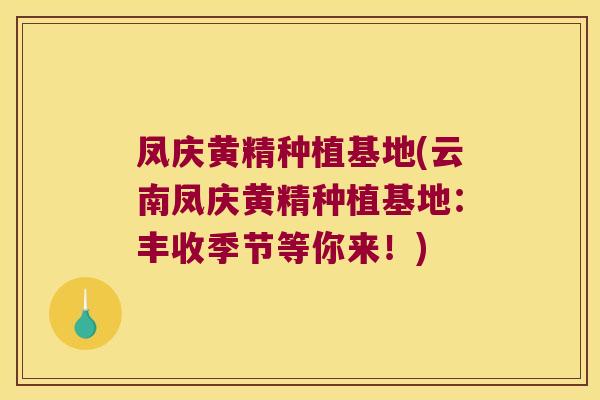 凤庆黄精种植基地(云南凤庆黄精种植基地：丰收季节等你来！)