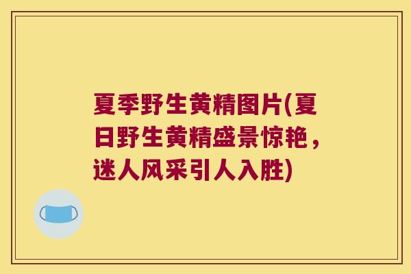 夏季野生黄精图片(夏日野生黄精盛景惊艳,迷人风采引人入胜) 夏季野生黄精图片(夏日野生黄精盛景惊艳,迷人风采引人入胜)